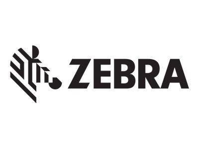 Zebra Z-Select 2000D - Matt - permanenter Gummiklebstoff - beschichtet - perforiert - wei?
